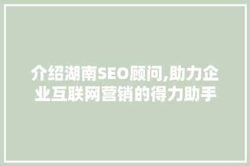 介绍湖南SEO顾问,助力企业互联网营销的得力助手