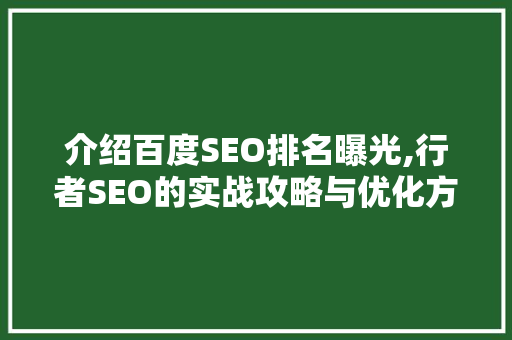 介绍百度SEO排名曝光,行者SEO的实战攻略与优化方法