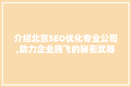 介绍北京SEO优化专业公司,助力企业腾飞的秘密武器