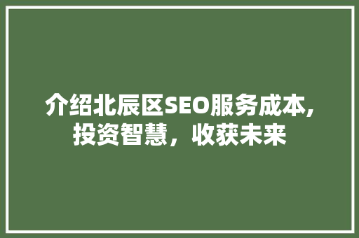 介绍北辰区SEO服务成本,投资智慧，收获未来