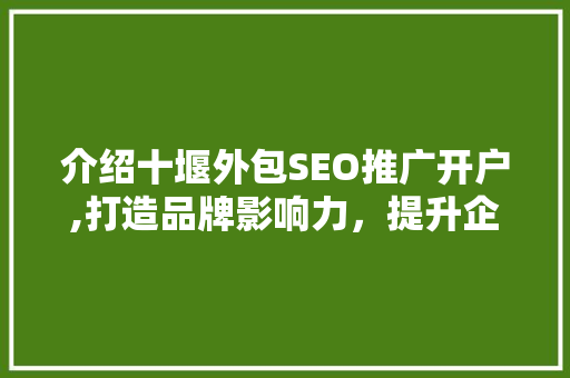 介绍十堰外包SEO推广开户,打造品牌影响力，提升企业竞争力