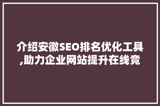 介绍安徽SEO排名优化工具,助力企业网站提升在线竞争力