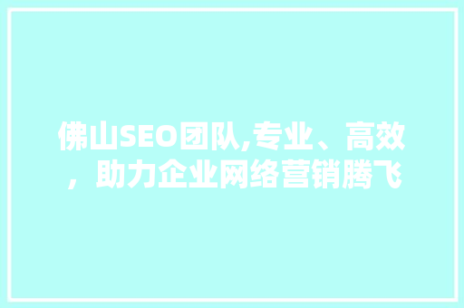 佛山SEO团队,专业、高效，助力企业网络营销腾飞
