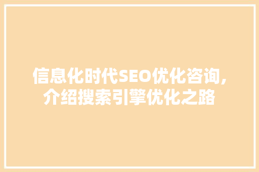 信息化时代SEO优化咨询,介绍搜索引擎优化之路