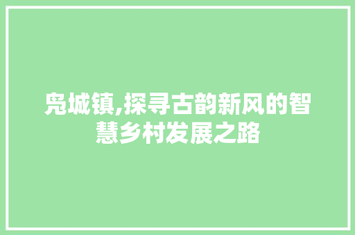 凫城镇,探寻古韵新风的智慧乡村发展之路