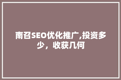 南召SEO优化推广,投资多少，收获几何