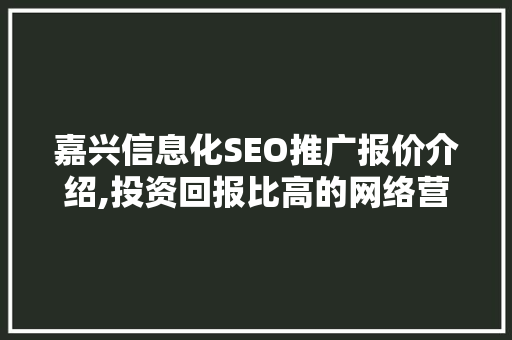 嘉兴信息化SEO推广报价介绍,投资回报比高的网络营销之路