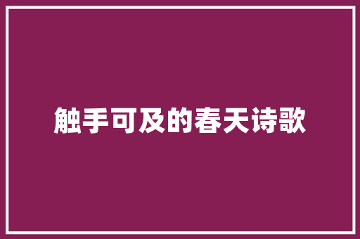 天津SEO推广营销,介绍价格背后的价值与步骤