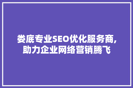 娄底专业SEO优化服务商,助力企业网络营销腾飞