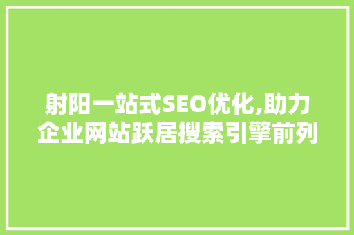 射阳一站式SEO优化,助力企业网站跃居搜索引擎前列