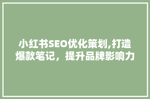 小红书SEO优化策划,打造爆款笔记，提升品牌影响力