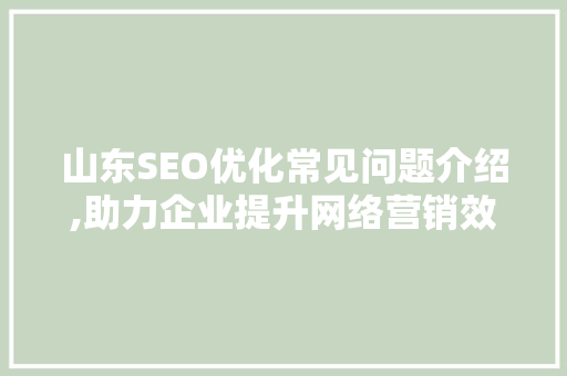 山东SEO优化常见问题介绍,助力企业提升网络营销效果