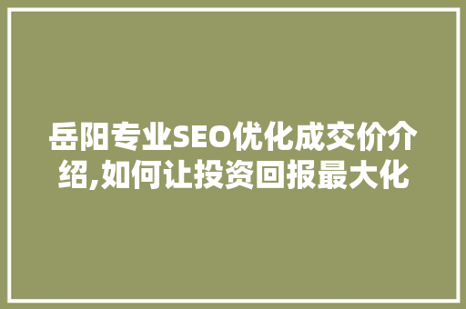 岳阳专业SEO优化成交价介绍,如何让投资回报最大化