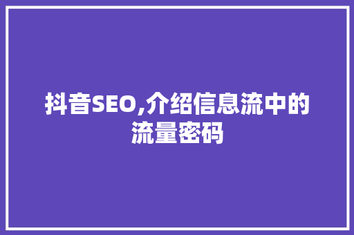 抖音SEO,介绍信息流中的流量密码