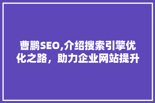 曹鹏SEO,介绍搜索引擎优化之路，助力企业网站提升排名