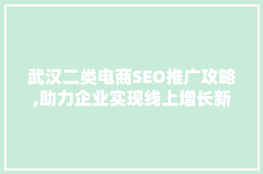 武汉二类电商SEO推广攻略,助力企业实现线上增长新突破
