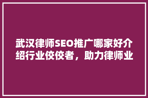 武汉律师SEO推广哪家好介绍行业佼佼者，助力律师业务腾飞