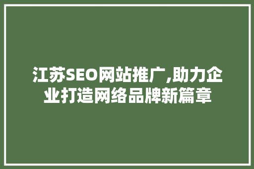 江苏SEO网站推广,助力企业打造网络品牌新篇章