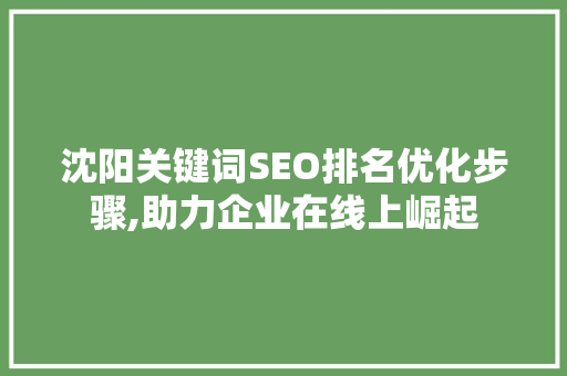 沈阳关键词SEO排名优化步骤,助力企业在线上崛起