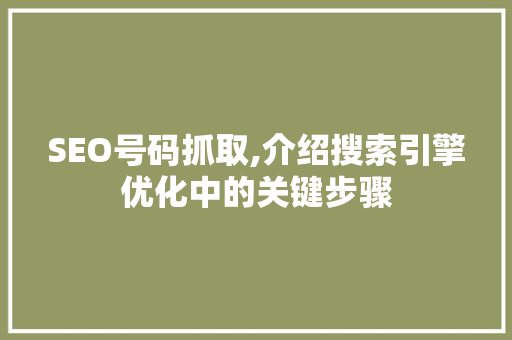SEO号码抓取,介绍搜索引擎优化中的关键步骤