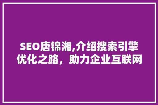 SEO唐锦湘,介绍搜索引擎优化之路，助力企业互联网营销