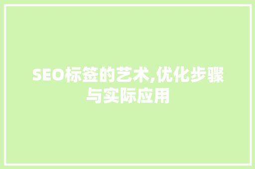 SEO标签的艺术,优化步骤与实际应用