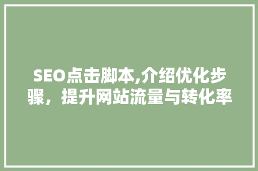 SEO点击脚本,介绍优化步骤，提升网站流量与转化率
