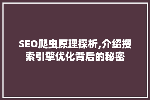 SEO爬虫原理探析,介绍搜索引擎优化背后的秘密