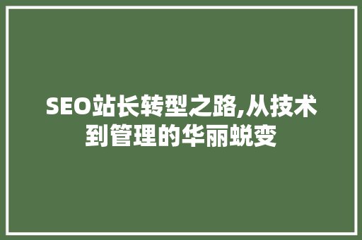 SEO站长转型之路,从技术到管理的华丽蜕变