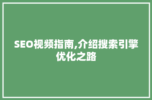 SEO视频指南,介绍搜索引擎优化之路