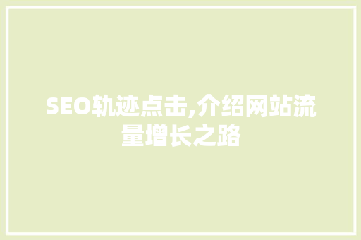 SEO轨迹点击,介绍网站流量增长之路