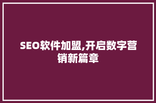 SEO软件加盟,开启数字营销新篇章