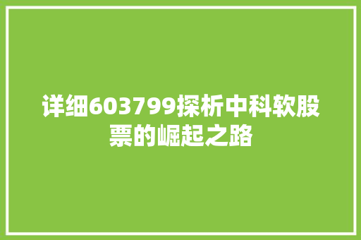 详细603799探析中科软股票的崛起之路