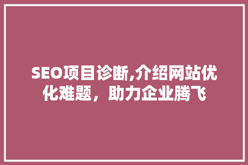SEO项目诊断,介绍网站优化难题，助力企业腾飞