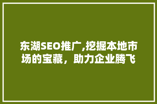 东湖SEO推广,挖掘本地市场的宝藏，助力企业腾飞