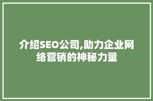 介绍SEO公司,助力企业网络营销的神秘力量