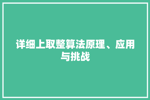 详细上取整算法原理、应用与挑战