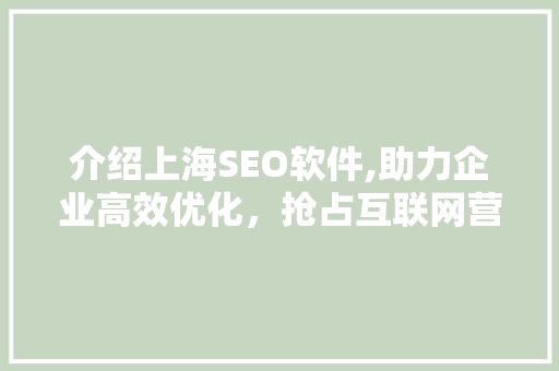 介绍上海SEO软件,助力企业高效优化，抢占互联网营销制高点
