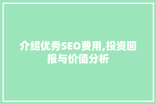介绍优秀SEO费用,投资回报与价值分析