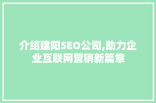 介绍建阳SEO公司,助力企业互联网营销新篇章