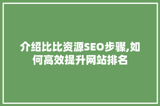 介绍比比资源SEO步骤,如何高效提升网站排名