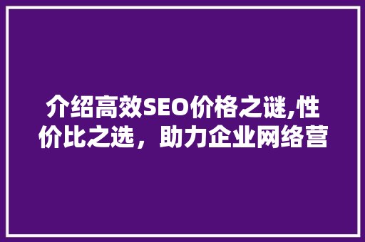 介绍高效SEO价格之谜,性价比之选，助力企业网络营销腾飞