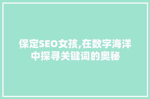 保定SEO女孩,在数字海洋中探寻关键词的奥秘