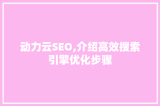 动力云SEO,介绍高效搜索引擎优化步骤