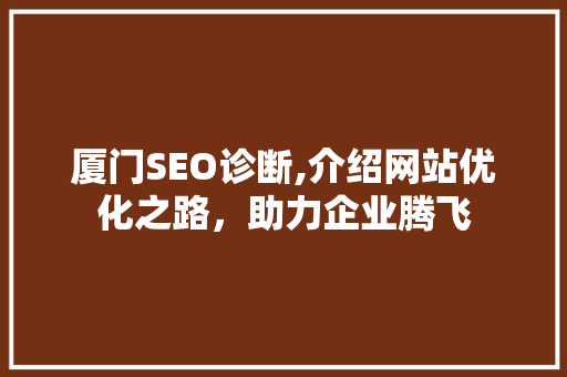 厦门SEO诊断,介绍网站优化之路，助力企业腾飞