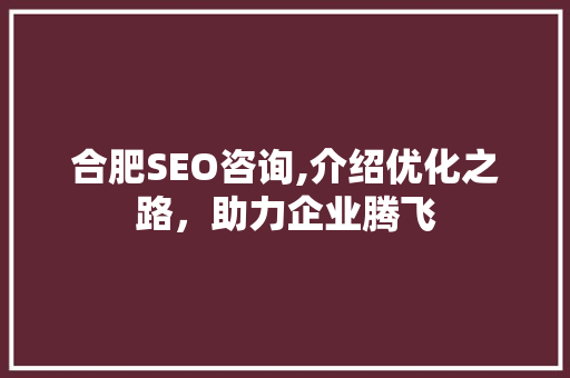 合肥SEO咨询,介绍优化之路，助力企业腾飞