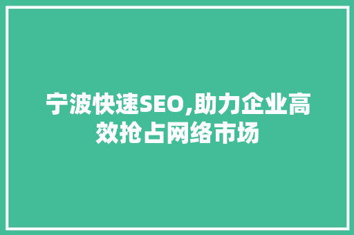宁波快速SEO,助力企业高效抢占网络市场