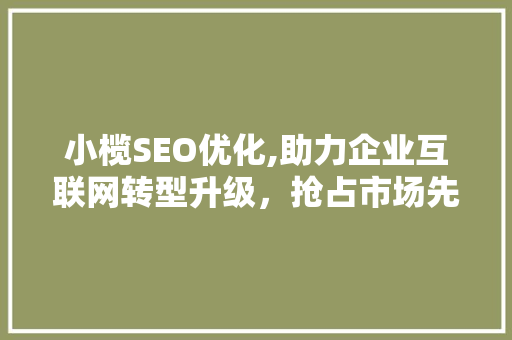 小榄SEO优化,助力企业互联网转型升级，抢占市场先机