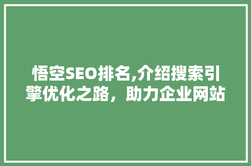 悟空SEO排名,介绍搜索引擎优化之路，助力企业网站脱颖而出