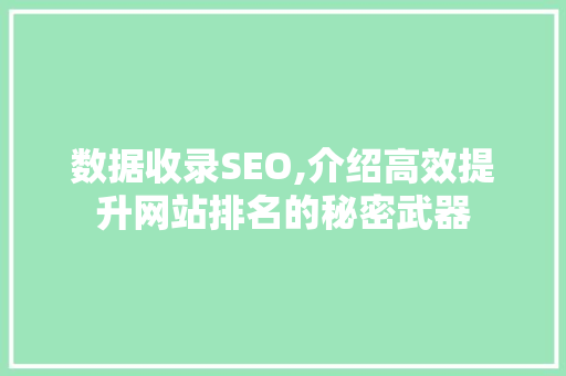 数据收录SEO,介绍高效提升网站排名的秘密武器